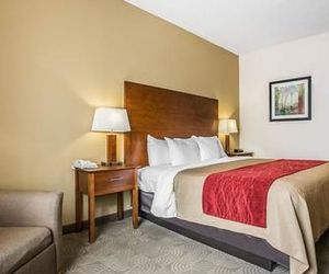 Comfort Inn & Suites Santee Santee United States