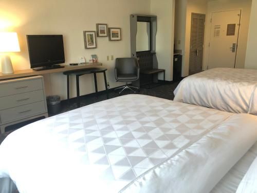 Holiday Inn Statesboro-University Area, an IHG Hotel