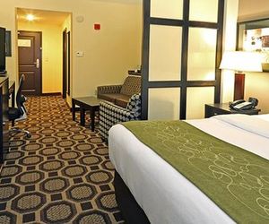 Comfort Suites Lexington Lexington United States