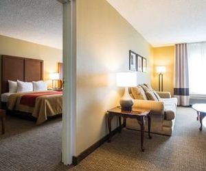 Comfort Inn and Suites Suwanee United States