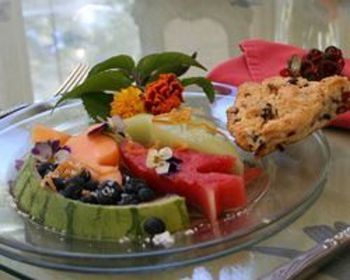 صورة الفندق 14