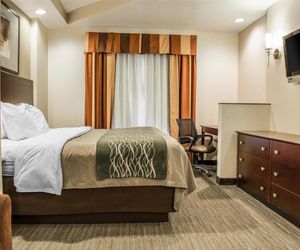 Comfort Inn & Suites Washington Washington United States