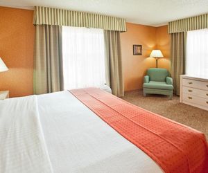 Holiday Inn Hotel & Suites Bolingbrook Bolingbrook United States