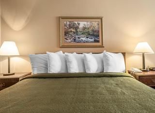 Фото отеля Quality Inn & Suites Mount Chalet