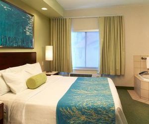 Springhill Suites by Marriott Frankenmuth Frankenmuth United States