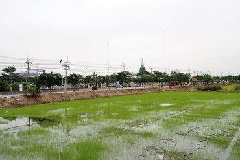 صورة الفندق 21