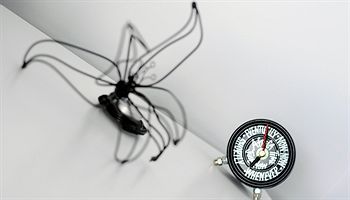 صورة الفندق 10
