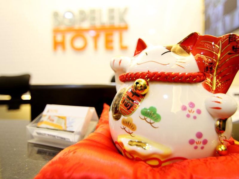 Hotel Photo 15