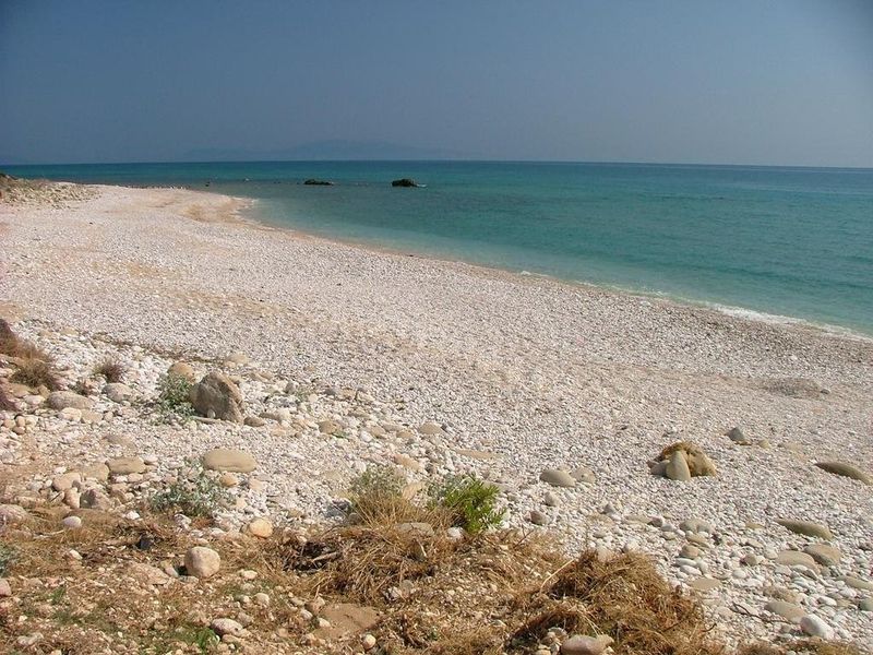 صورة الفندق 20