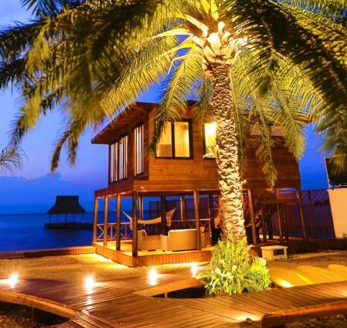 صورة الفندق 24