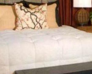 Hotel Indu Pearls Inn Hyderabad India