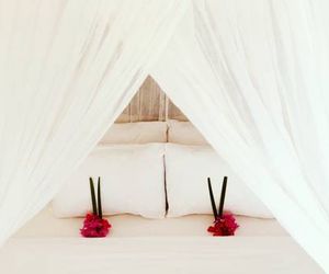 Manusia Dunia Green Lodge Gili Air Indonesia