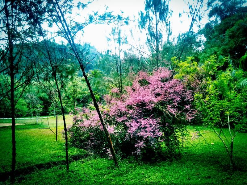 صورة الفندق 17