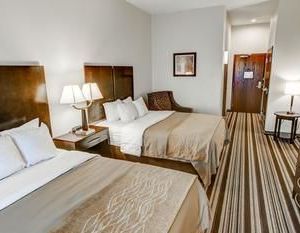 Comfort Inn & Suites Triadelphia United States