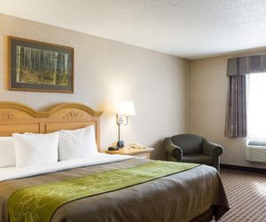Comfort Inn & Suites - Custer Custer United States