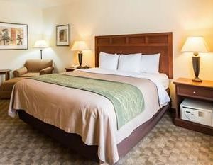 Comfort Inn & Suites near Comanche Peak Glen Rose United States