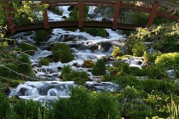 صورة الفندق 22