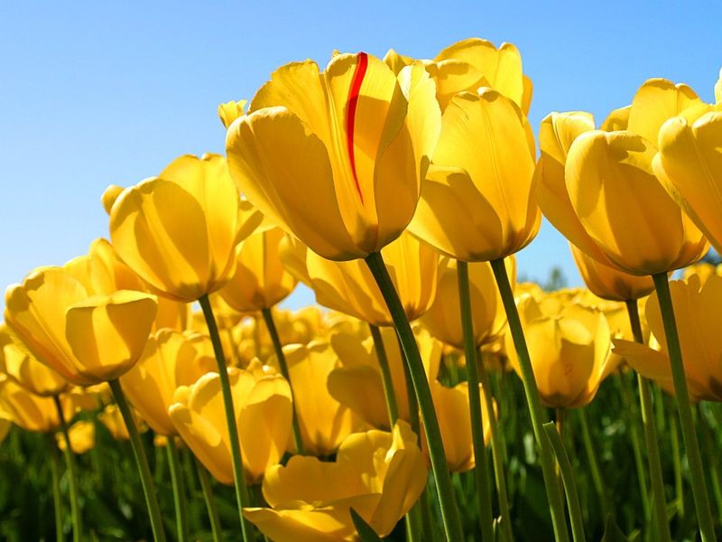 صورة الفندق 20