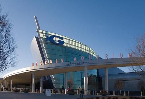 صورة الفندق 24
