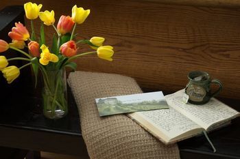 صورة الفندق 5