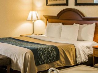 Hotel pic Comfort Inn & Suites Dimondale