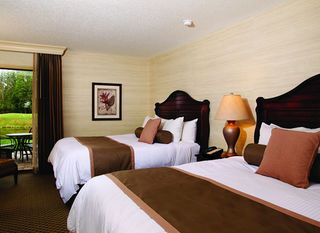 Hotel pic Saddlebrook Golf Resort & Spa Tampa North-Wesley Chapel