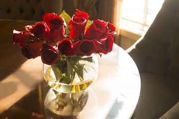 صورة الفندق 15