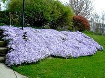 صورة الفندق 18