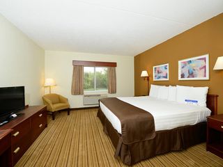 Hotel pic Best Western Plus Flint Airport Inn & Suites