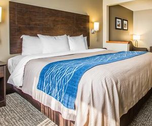 Comfort Inn & Suites Waterloo – Cedar Falls Waterloo United States