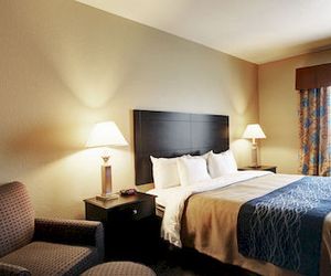 Comfort Inn & Suites Selma near Randolph AFB Selma United States