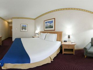 Hotel pic Holiday Inn Express Hotel & Suites Elko