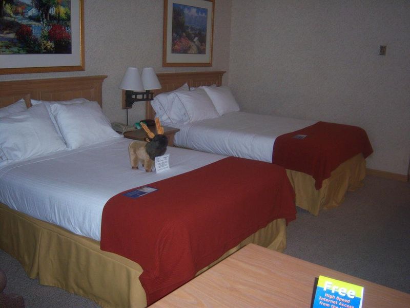 Hotel Photo 4