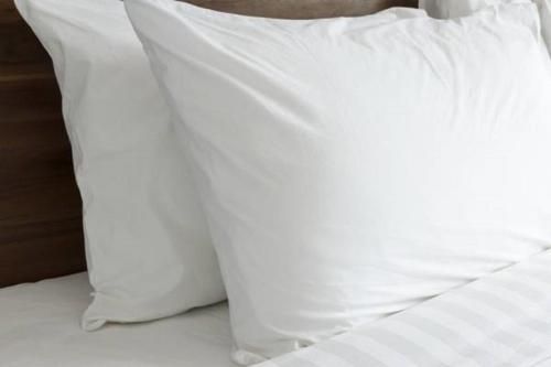 صورة الفندق 20