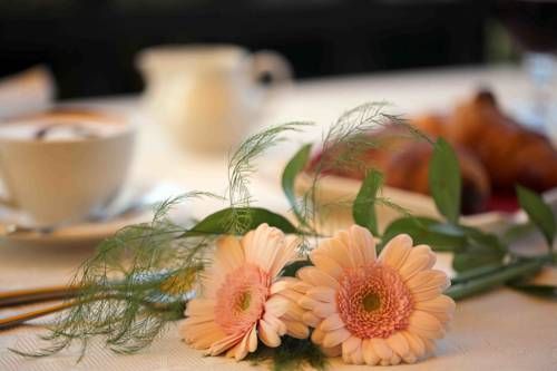 صورة الفندق 14