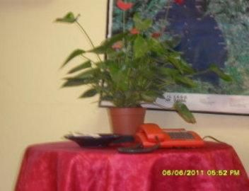 صورة الفندق 15