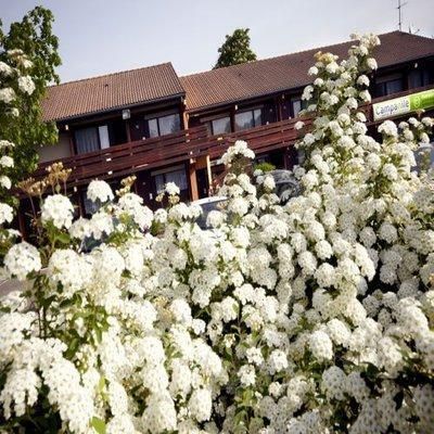 صورة الفندق 24