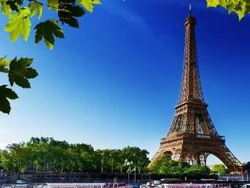 صورة الفندق 24