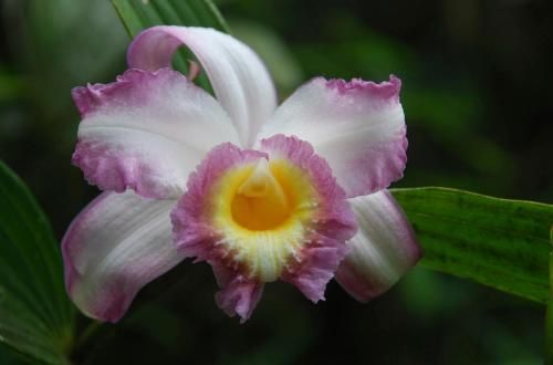 صورة الفندق 16
