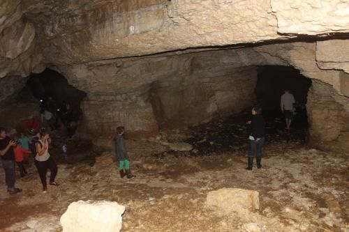 صورة الفندق 12
