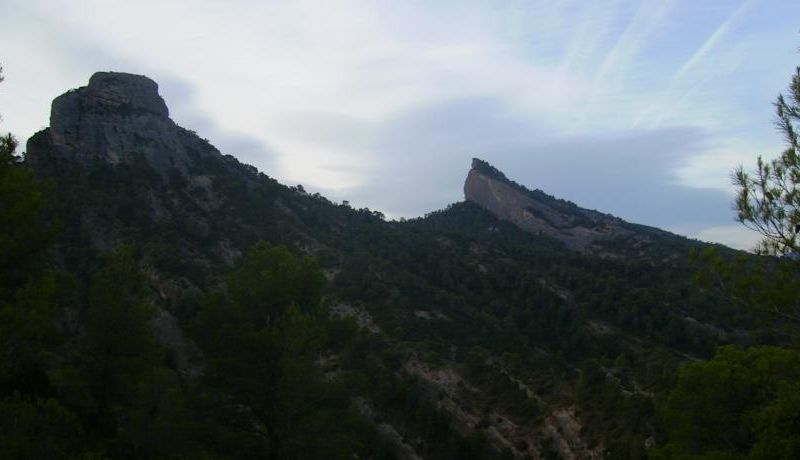 صورة الفندق 15