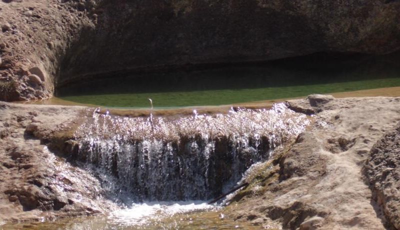 صورة الفندق 16