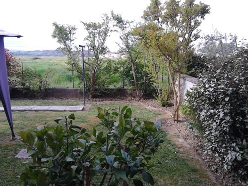 صورة الفندق 20