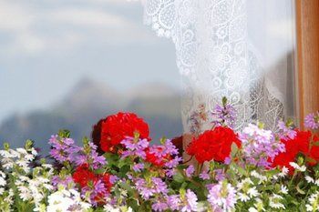 صورة الفندق 13