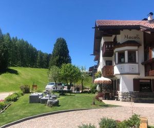 Appartamenti Hacoli Selva di Val Gardena Italy