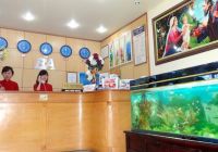 Отзывы Bao Anh Hotel, 1 звезда
