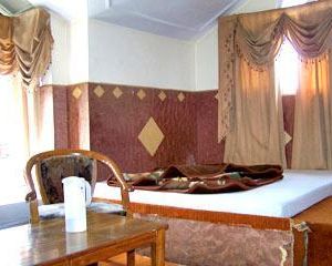 Hotel Deventure Chail India