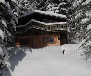Chalet Individuel Vologne - 4 Chambres La Bresse France