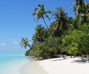 Orchid Island Lodge Maafushi Island Maldives