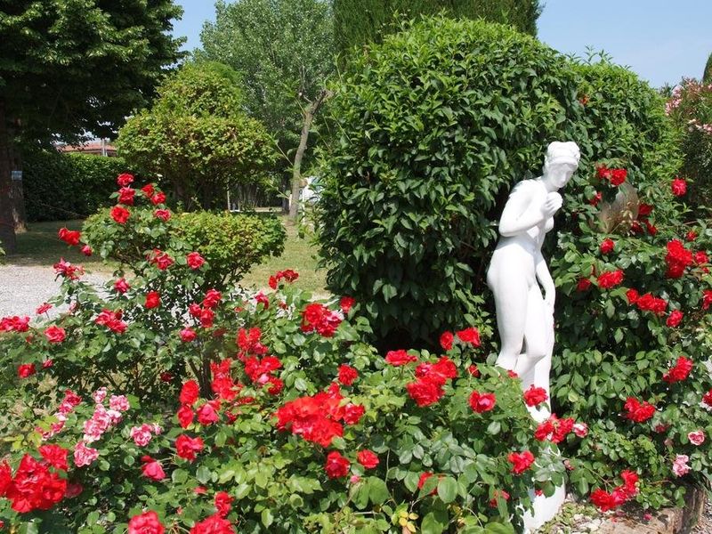 صورة الفندق 20